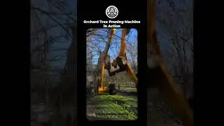 Orchard Tree Pruning Machine in Action
