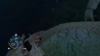 Far Cry 3 classic edition.