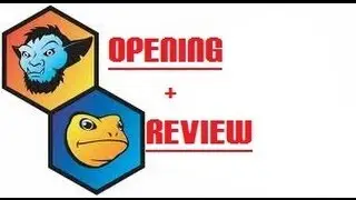 Troll and Toad Review and Opening!