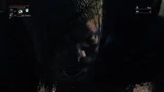 Bloodborne - Brick Troll Audio 1
