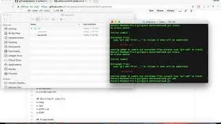 How to use .gitignore files