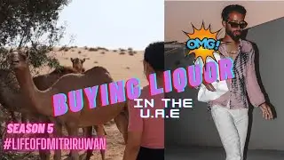 Buying Liquor in Ras Al Khaimah UAE🇦🇪 | Camels, Booze & LUNCH