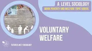 Voluntary Welfare | A Level Sociology | Work, Poverty & Welfare