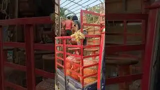 #working#highlight#dutyfirst