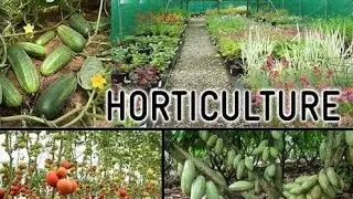 BSc Horticulture Course details in Tamil