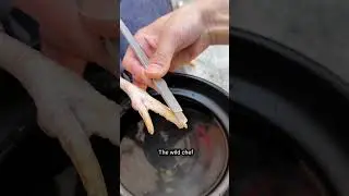 From Rooster to Plate: Wild Cooking Adventures | Chef in the Wild