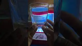 Fish pet fun is live