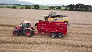 Winter Wheat Harvest