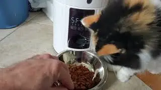 Timed Automatic Cat Feeders  for Cats and Small Medium Dogs 6 Meals and your voice recording