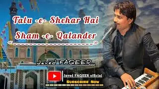 Telu - e - Shaher  Hai Sham - e - Qalander I Javed FAQEER I New Dhamall LAL Shabaz qalander