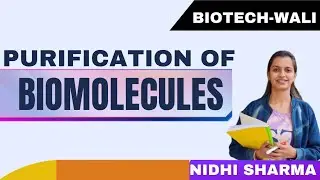 Purification of biomolecules || DSP  @BIOTECHWALI @AKTUDigitalEducationUP @tukshtishukla2931