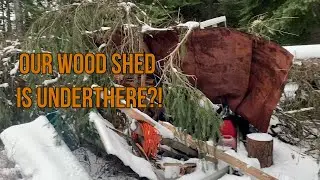 Off-Grid Cabin Chaos: Tree Fell on the Wood Shed