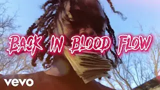 Wildboi - Back In Blood Flow (Official Music Video)