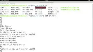 Linux Tutorial Series - 56 - Shell globbing (aka wildcards)
