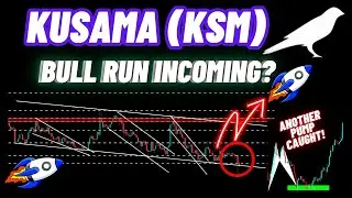 Bull Run Of Kusama Coin Incoming? | KSM Crypto Coin