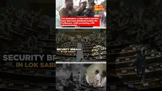 Massive Security Breach in Lok Sabha #sosouth #news #loksabha #modi #rahulgandhi #parliament