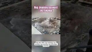 Rug cleaning Hayward, Rug repair Hayward , 5107040460 , binding, resizing, pet odor removal, moth