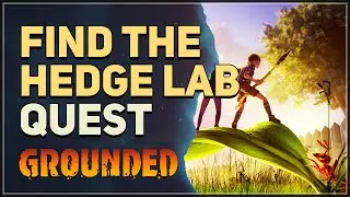 Find the Hedge Lab Grounded