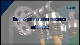 Razones para estudiar mecánica automotriz
