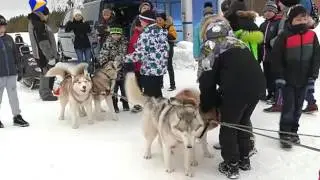 Время спорта 07.04.2016