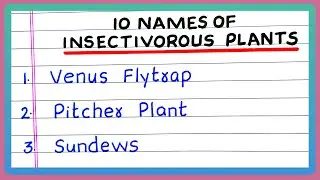10 Names of Insectivorous Plants | 10 Examples of Insectivorous Plants