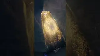 Simple gold selection process, high gold extraction efficiency#extractinggold #goldenselection