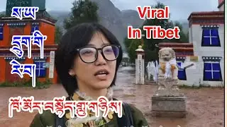 བོད་མི་ཡོང་གཉིད་ལས་སད་མཁན་བསམ་གཏན་ལྷ་མོ། viral in Tibet བསྟོད་གླུSamten Lhamo #tibetan #tibetanmusic