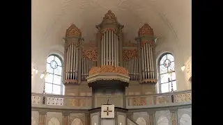 Aufbau Walcker-Orgel