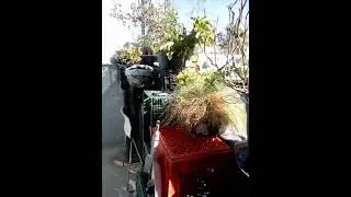 😶&zwj;🌫️Slum Lords🫥Breeding Rats/Bugs,Grime- n Black Community 👉😶😐(2)