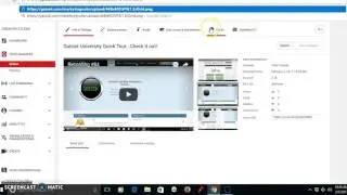Gatosk Marketing Suite Quick Tour