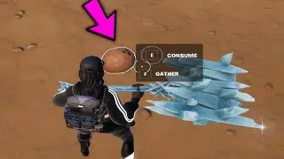Stage 1 of 20 - Consume Foraged Items || Fortnite milestone Quests