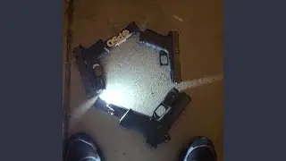 Stepped on