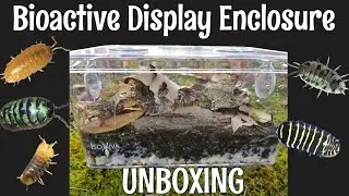 Bioactive Display Enclosure Unboxing