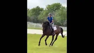 Sue Carson Saddle Saketini