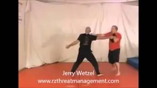Crazy Knife Attack Defense - Fantasy vs Reality