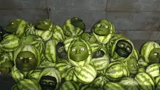 Lin Gang Melon 12
