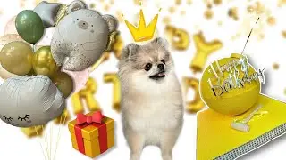 День Рождения Мики 🐶 рум тур после переделки комнаты 😍 #моясобака