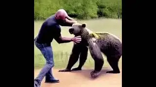 Joe Rogan vs. bear realistic simulation