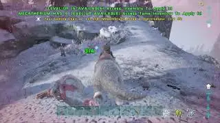 Struggling For Tames! Taming A Procoptodon! - Ark : Survival Evolved (Ep59)
