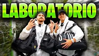 LONCHE Y WILLITO EXPLORAN UN LABORATORIO DE ...🌿😱