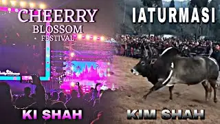 IATURMASI//CHEERRY BLOSSOM FESTIVAL KAEI KA JINGIAPHER