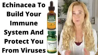 Echinacea Builds Your Immune System To Fight Against Viruses Fast