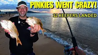 Pinkies Going Off! 12 Keepers in One Night + Bonus Whiting!