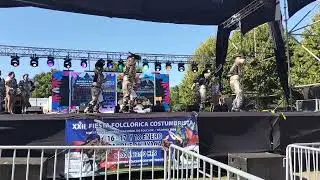 Aliwen de Osorno,parque chuyaca (18/01/26)