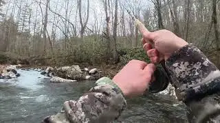 #fishing #flyfishing #tennessee Tellico River Cherokee National Forest 1/30/2026 water was 38F 🥶
