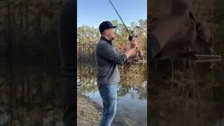 Tangled fishing lines - When you take kids fishing