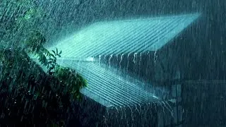Heavy Rain Sounds on Metal Tin Roof at Night｜ Sleep Pefectly Right Now with Rain & Thunder Sounds 🌧️