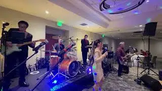 Till There Was You cover by 2nd Verse Band