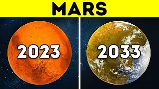The First Year On Mars