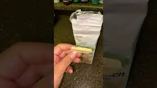 Pepperidge Farm chessmen butter cookies review/taste test